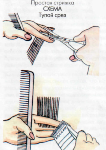 Как научиться стричь волосы машинкой. Пошаговая инструкция